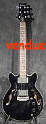 Ibanez Artist