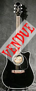 takamine bruce springsteen d'occasion