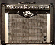 Peavey Envoy 110