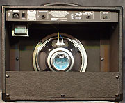 Peavey Envoy 110