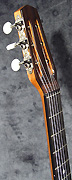 Guitare Alves de Puga