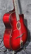 Guitare Alves de Puga