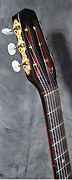 Guitare Alves de Puga