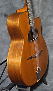 Guitare Alves de Puga
