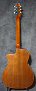 Guitare Alves de Puga