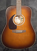 guitare Art et Lutherie (guitare Godin) gaucher