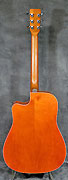 Guitares Art et Lutherie