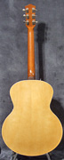 Guitare Godin