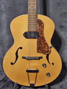 Guitare Godin