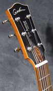 Guitare Godin