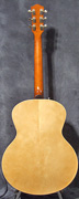 Guitare Godin