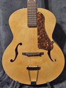 Guitare Godin