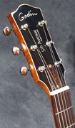 Guitare Godin