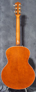 Guitare Godin