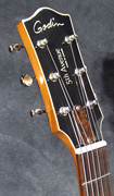 Guitare Godin