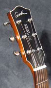 Guitare Godin
