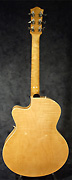 Guitare Godin