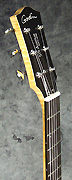 Guitare Godin