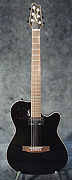 Guitare Godin