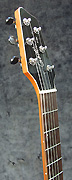 Guitare Godin