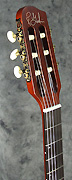 Guitare Godin