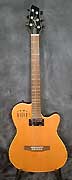 Guitare Godin