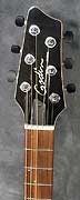 Guitare Godin