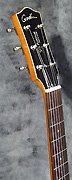 Guitare Godin