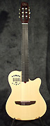 Guitare Godin