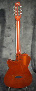 Guitare Godin