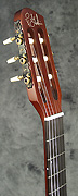 Guitare Godin