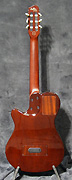 Guitare Godin