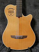 Guitare Godin