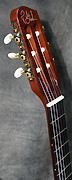 Guitare Godin