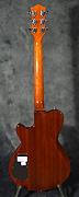 Guitare Godin