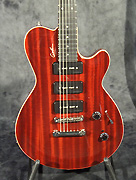 Guitare Godin