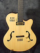 Guitare Godin