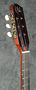 Guitare Godin