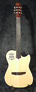 Guitare Godin