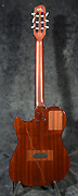 Guitare Godin
