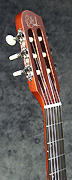 Guitare Godin