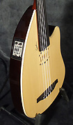 Guitare Godin