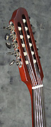 Guitare Godin