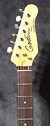 Guitare Godin