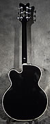 Gretsch 6136 SLBP, Brian Setzer Black Phoenix
