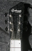 Lapsteel (lap steel) Synchromatic par Gretsch