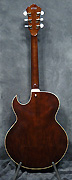 Guitare Ibanez Custom