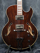 Guitare Ibanez Custom