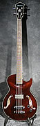 Guitare Ibanez