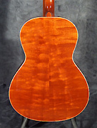 Guitare Regis Sala